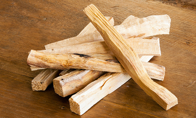 heilig-hout.jpg